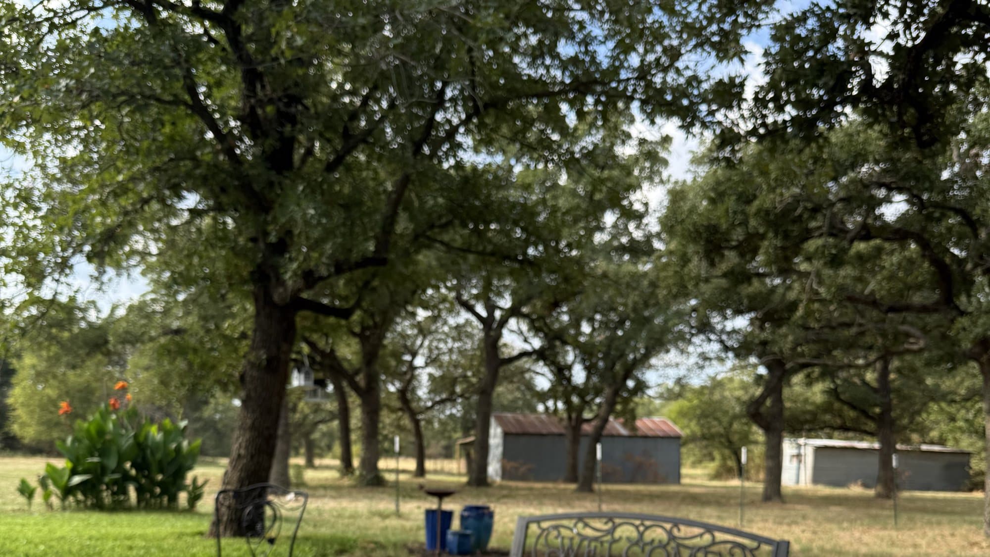 The grounds at ROMAR House: mature oak trees, canna lilies, a wrought-iron bench and open pasture with outbuildings.
