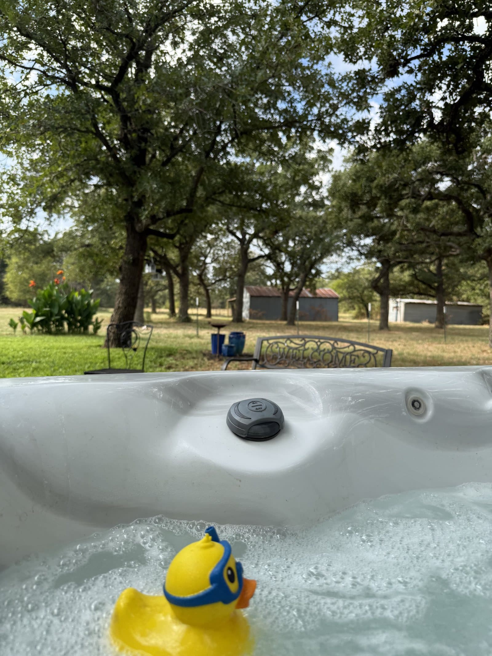 The hot tub at ROMAR House with a rubber duck in the water, and mature oak trees and the lawn beyond.