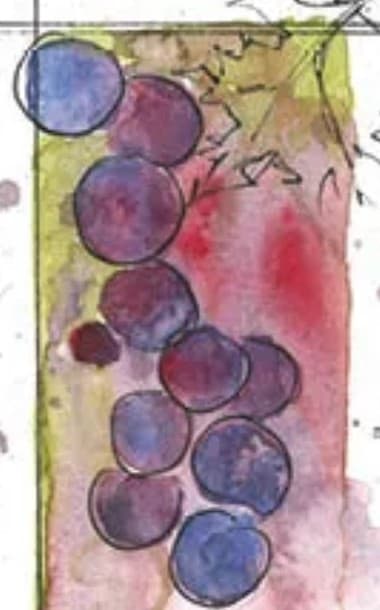 Detail of the Wine Poems cover: a cluster of violet and plum grapes washed over rose and green watercolor